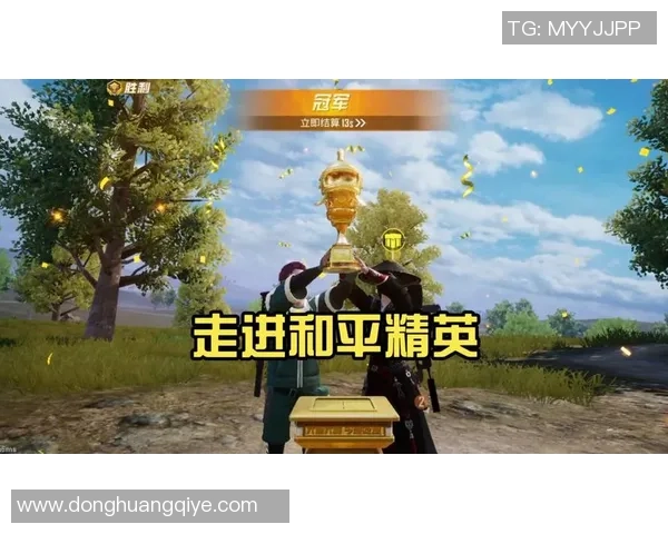 专访王伟揭秘和平精英成功背后的策略与创新之路