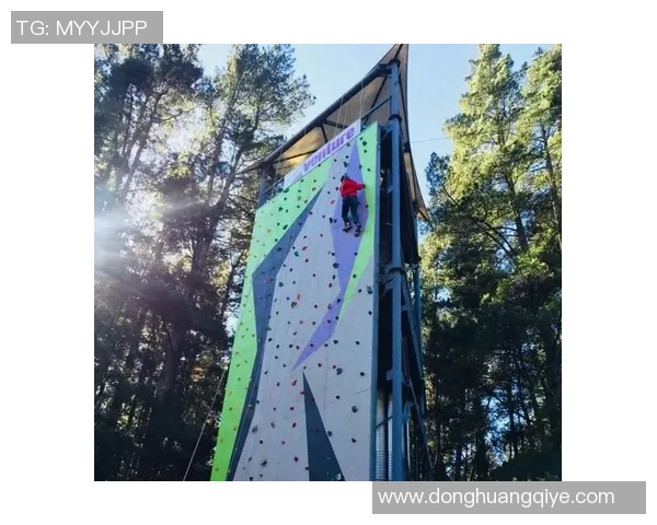 攀岩女神王娜的成功秘诀与心路历程全揭秘 攀岩女神王娜的成功秘诀与心路历程全揭秘