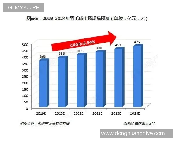 深入探讨上海羽毛球队实力对比与未来发展潜力分析